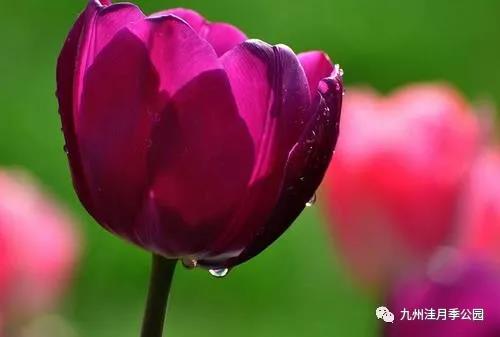 微信图片_20210329153635 微信图片_20210329153635.jpg