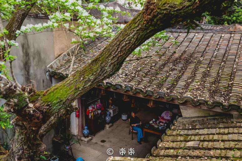 微信图片_20220406153835 微信图片_20220406153835.png