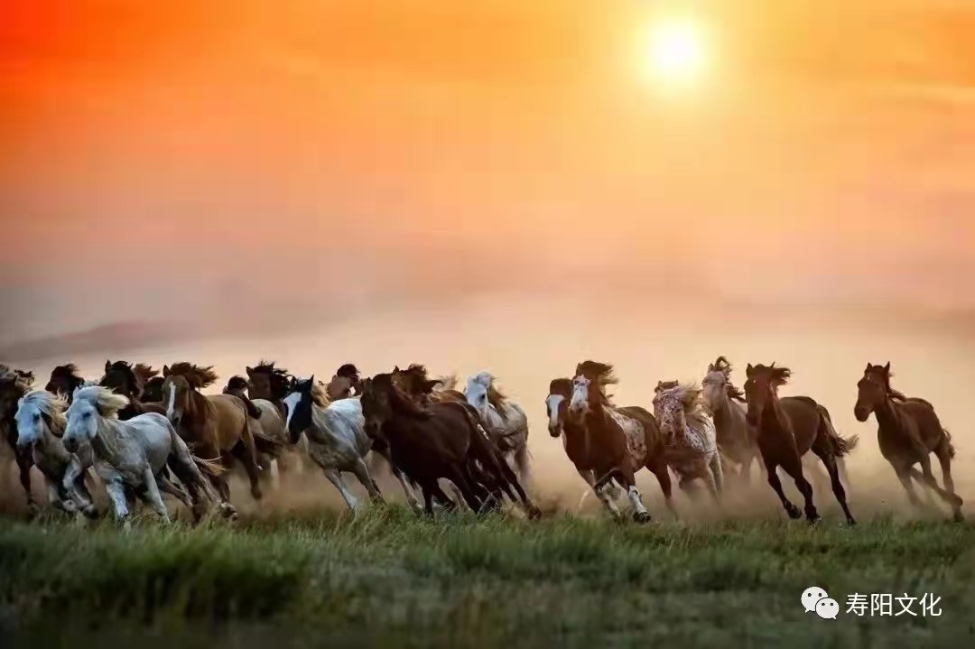 f94d358557c54e2aa106f15ce18c3e3 f94d358557c54e2aa106f15ce18c3e3.jpg