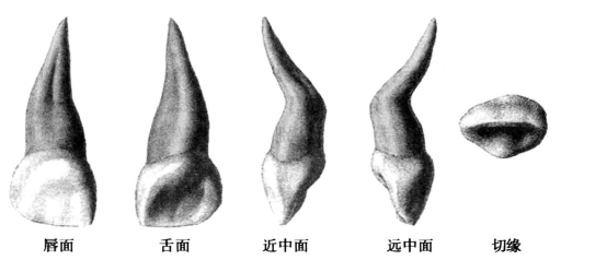 pagenumber_ebook=40,pagenumber_book=31