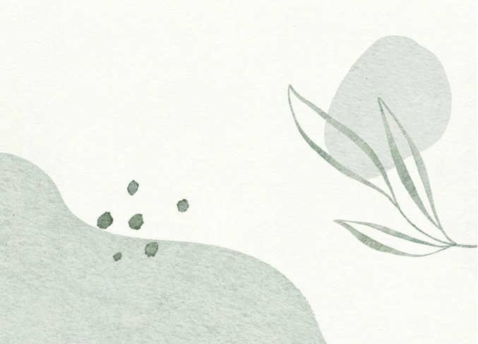 image.png?v=1780827728652