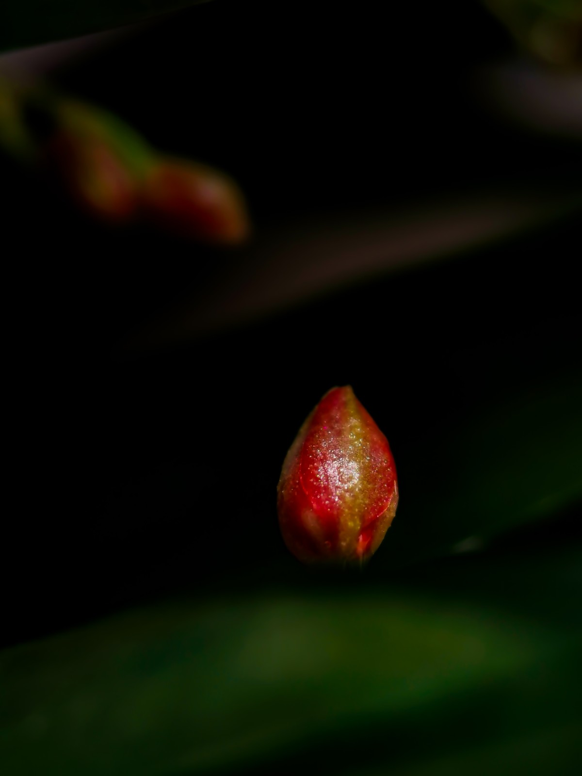 细微之处见精神 赵腾飞 (1)