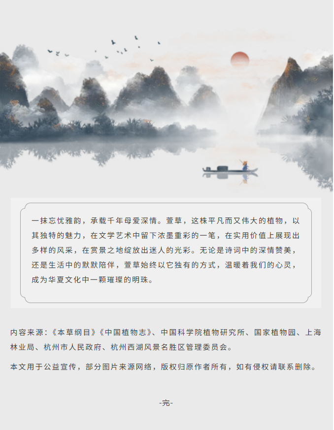 image.png?v=1766280841991