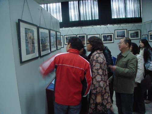 2013022252840305 2013022252840305.jpg?v=1764813590249