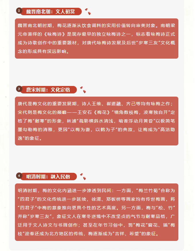 image.png?v=1762124709276