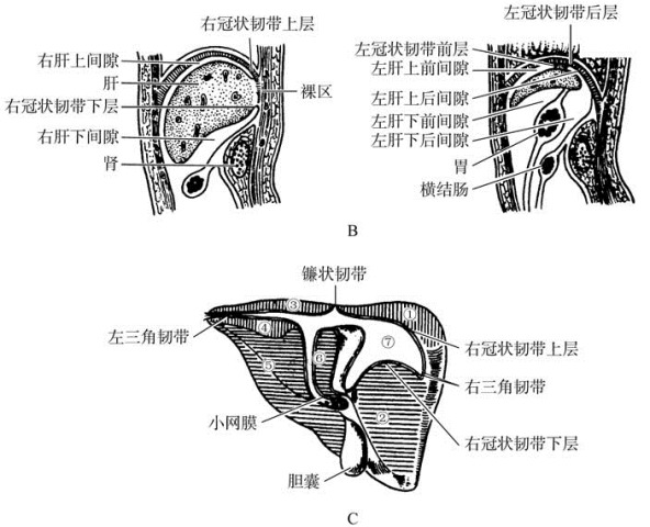 pagenumber_ebook=466,pagenumber_book=451