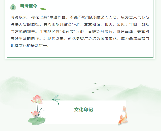 image.png?v=1766278434585