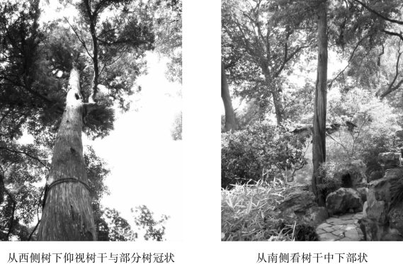 pagenumber_ebook=101,pagenumber_book=101