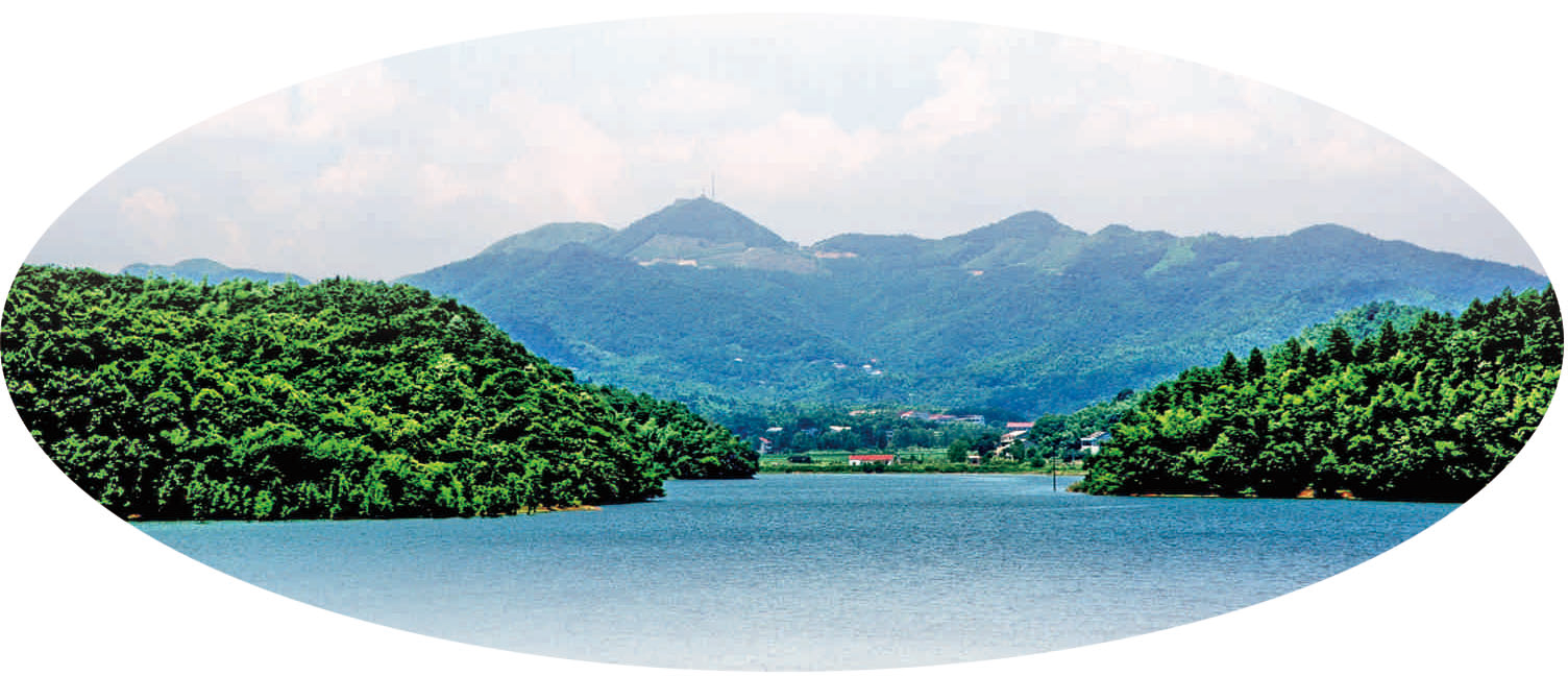 图片42 图片42.png