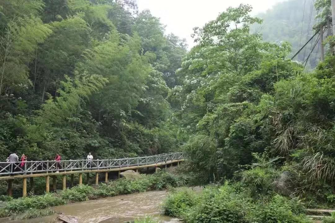 微信图片_20200712014932 微信图片_20200712014932.jpg