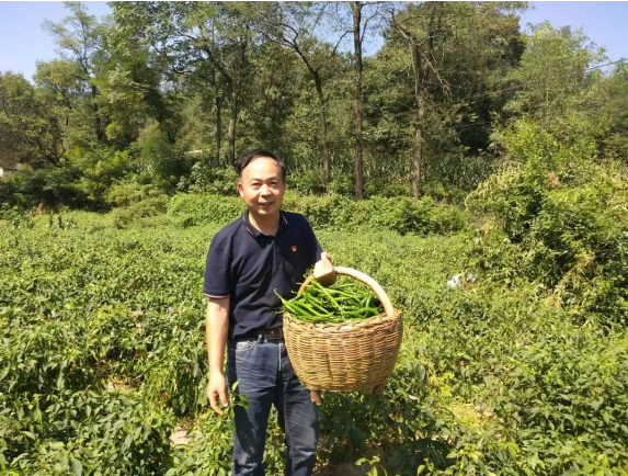 c3af86d3eb7a26ba2946c1e0352254c c3af86d3eb7a26ba2946c1e0352254c.png