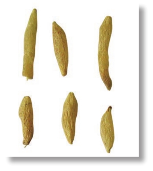 pagenumber_ebook=282,pagenumber_book=269