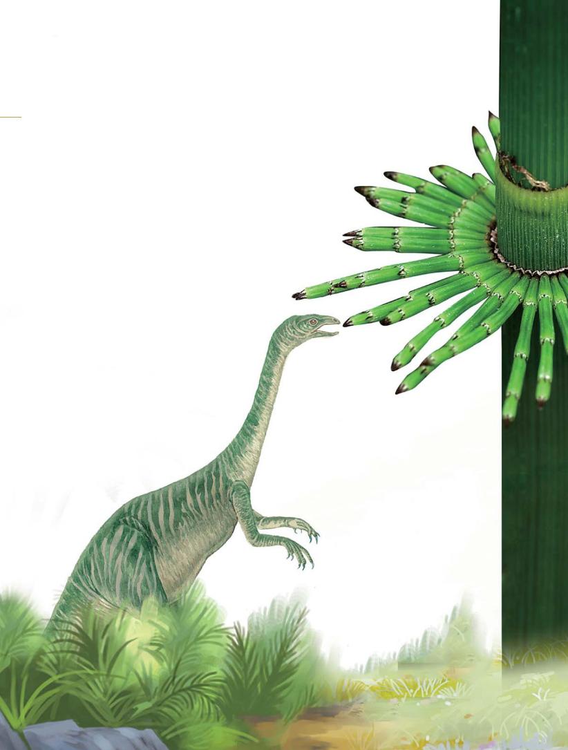 pagenumber_ebook=79,pagenumber_book=68