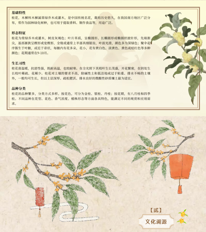 image.png?v=1762099910466