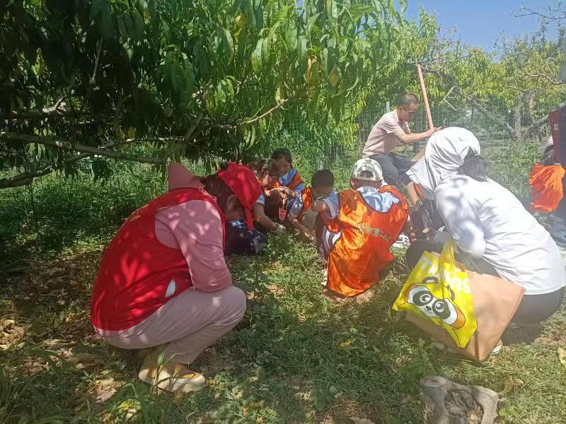 838f7ed4d6516641009ba04e9fc6a3d