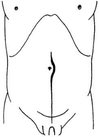 pagenumber_ebook=390,pagenumber_book=375