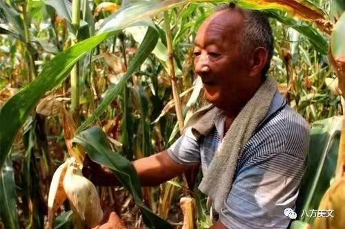 微信图片_20211130155037 微信图片_20211130155037.jpg