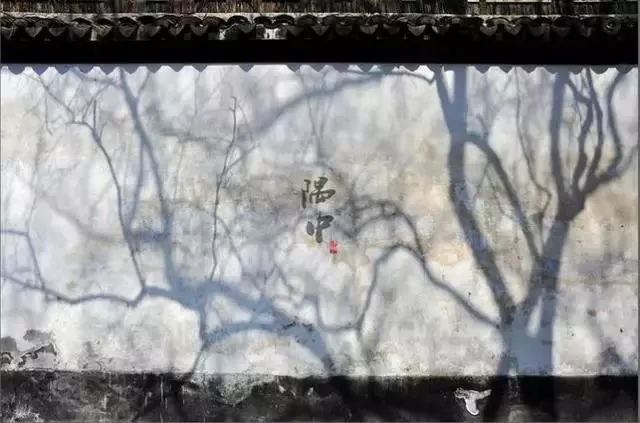 20171115210531_1l8aec6jem 20171115210531_1l8aec6jem.png?v=1773791879868