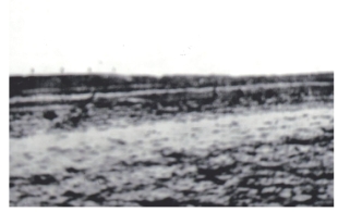 pagenumber_ebook=59,pagenumber_book=44