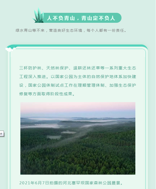 image.png?v=1754275592647