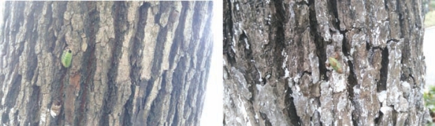 pagenumber_ebook=24,pagenumber_book=16