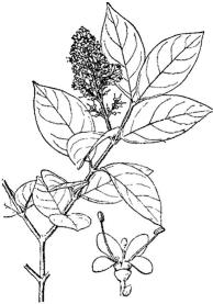 pagenumber_ebook=175,pagenumber_book=175