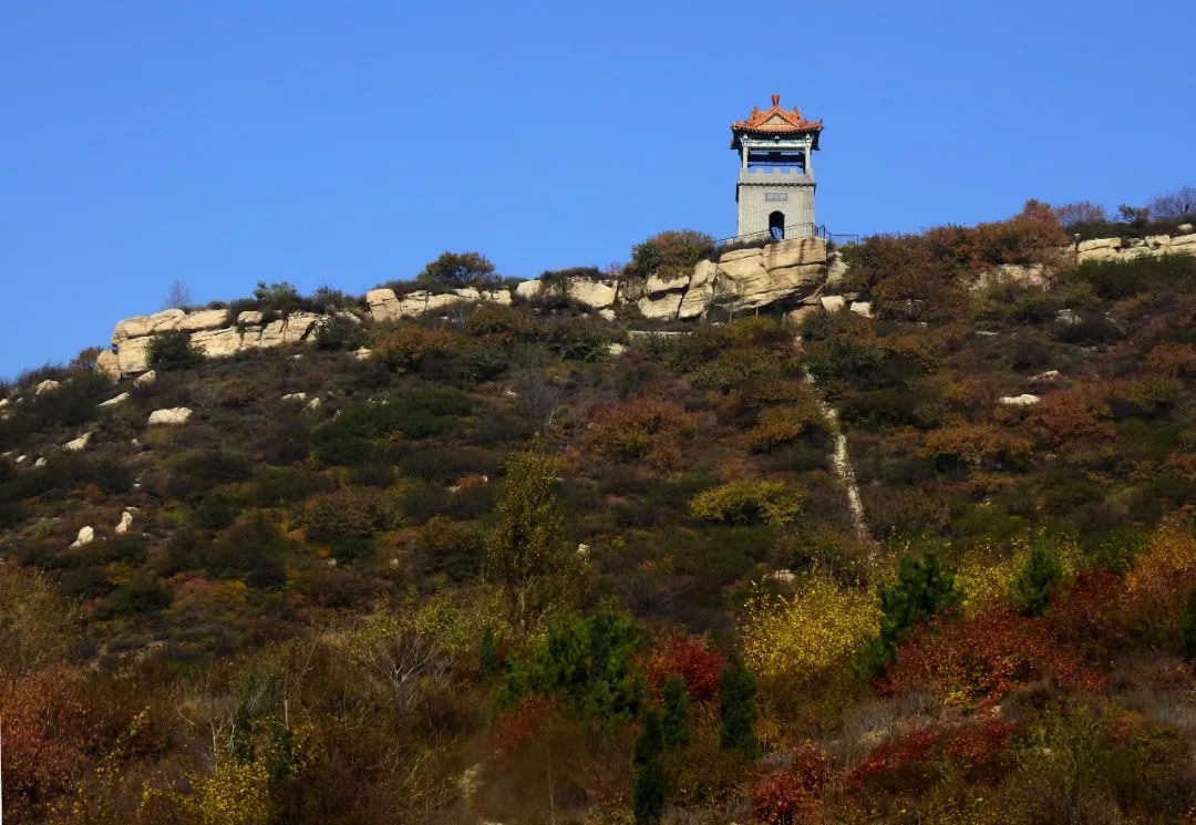 微信图片_20220804160944 - 副本