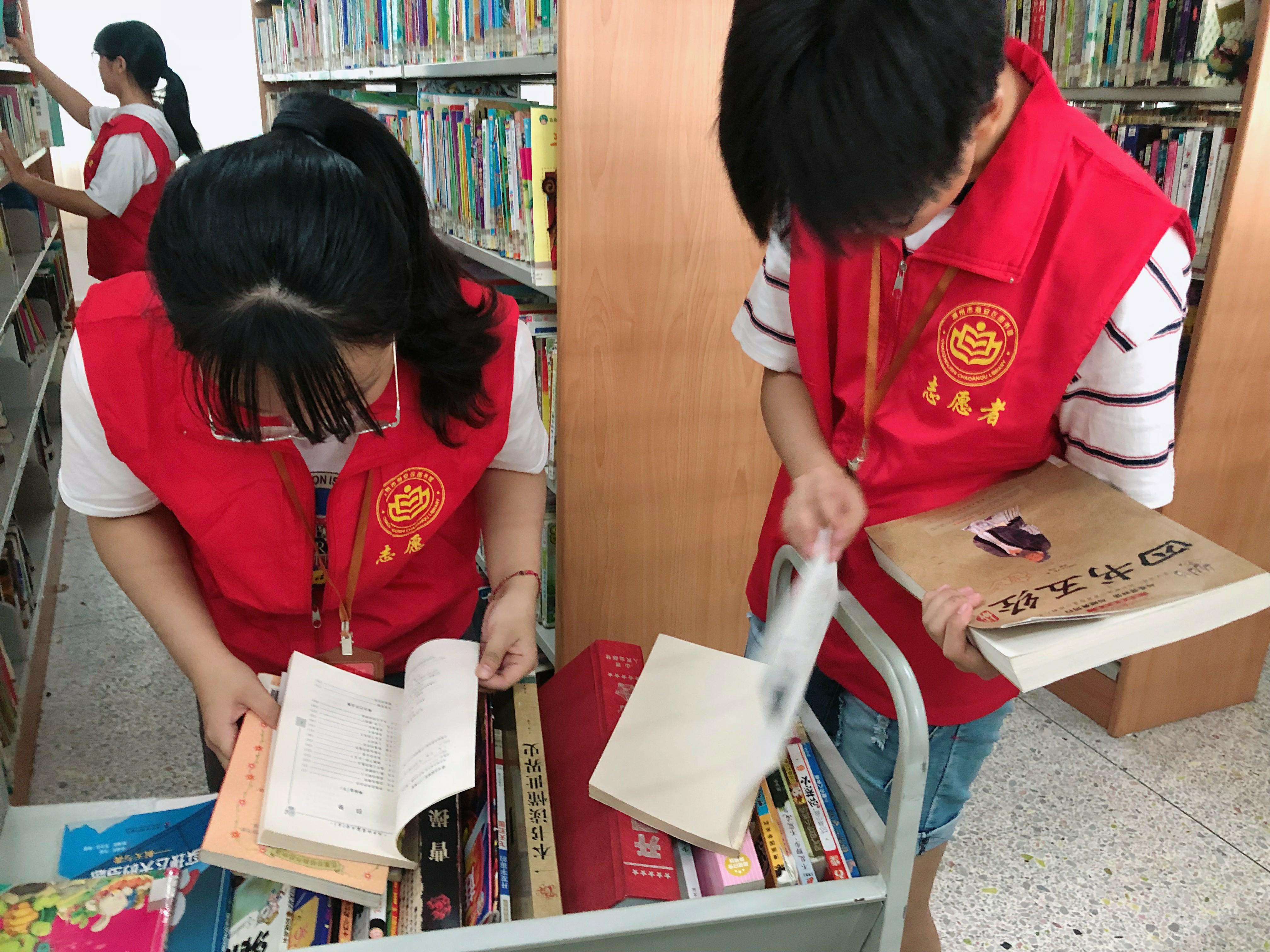 IMG_4793 IMG_4793.jpg?v=1762673457200