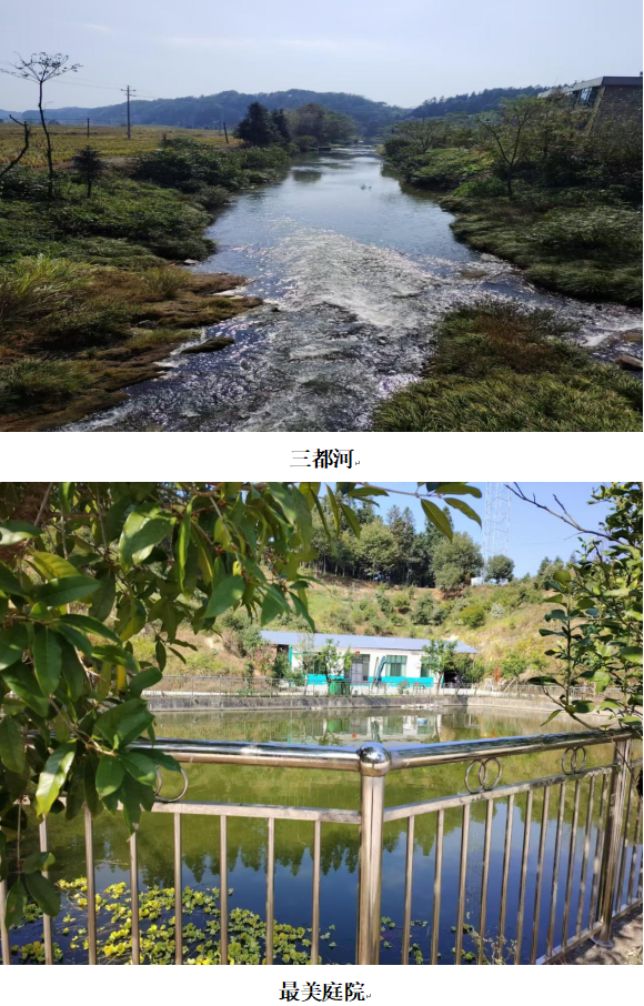 1732341759729 1732341759729.png