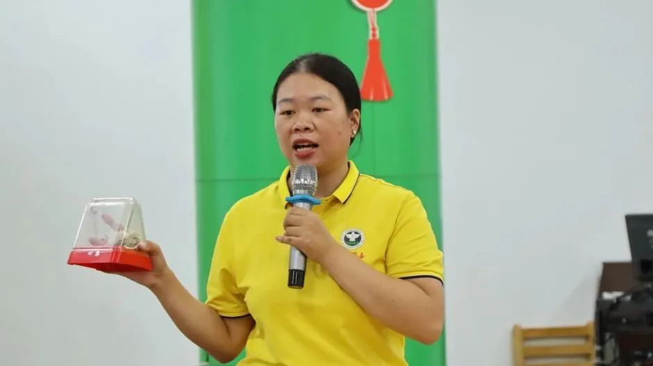 8.5-3-9 8.5-3-9.jpg?v=1765680708604