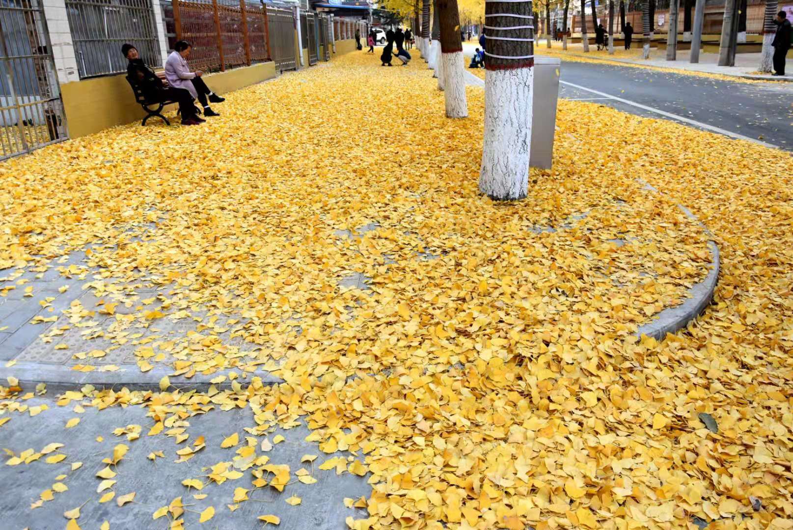 微信图片_202012142015045