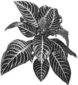 pagenumber_ebook=267,pagenumber_book=267