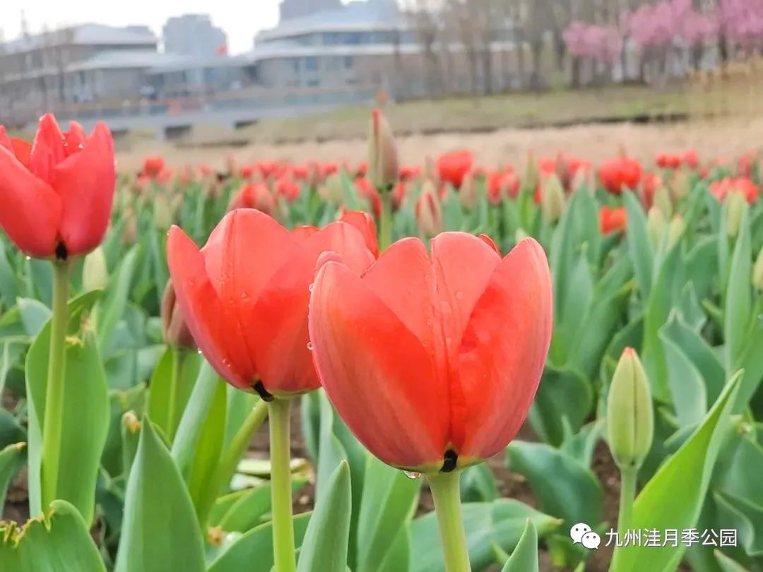 微信图片_20210329153121 微信图片_20210329153121.jpg