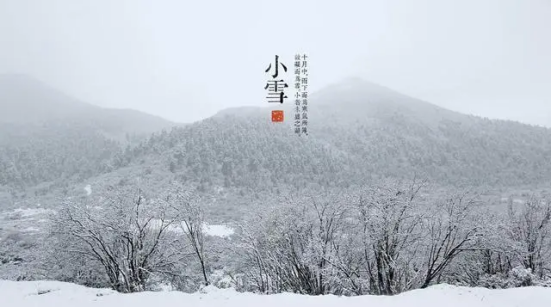image.png?v=1757814704617