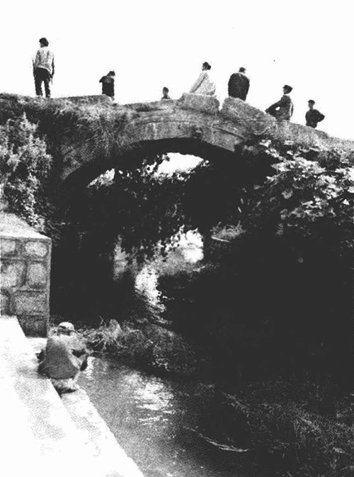 云南省泸西县交通志 云南省泸西县交通志.png