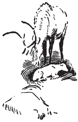 pagenumber_ebook=309,pagenumber_book=301