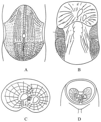 pagenumber_ebook=79,pagenumber_book=64
