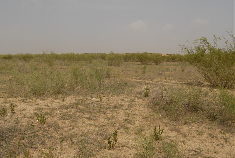康仁梁城址地貌_副本