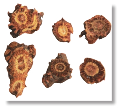 pagenumber_ebook=21,pagenumber_book=8