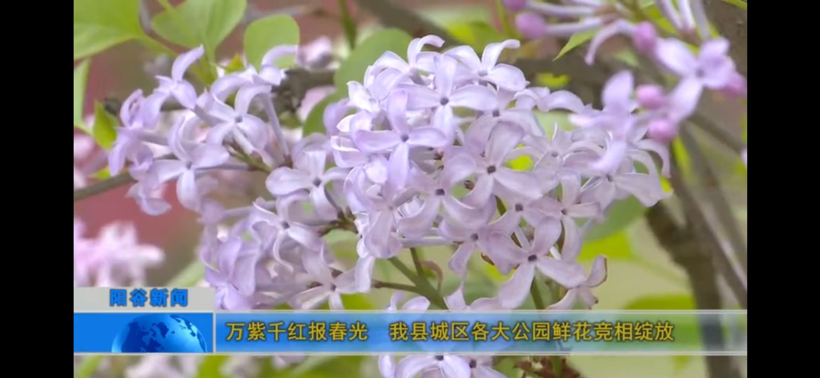 微信图片_202104070923001