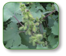 pagenumber_ebook=25,pagenumber_book=12