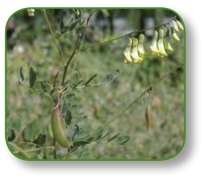 pagenumber_ebook=255,pagenumber_book=242