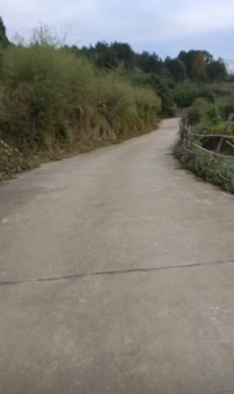 图片 38 图片 38.png