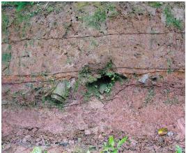 pagenumber_ebook=43,pagenumber_book=43