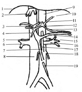 pagenumber_ebook=666,pagenumber_book=666