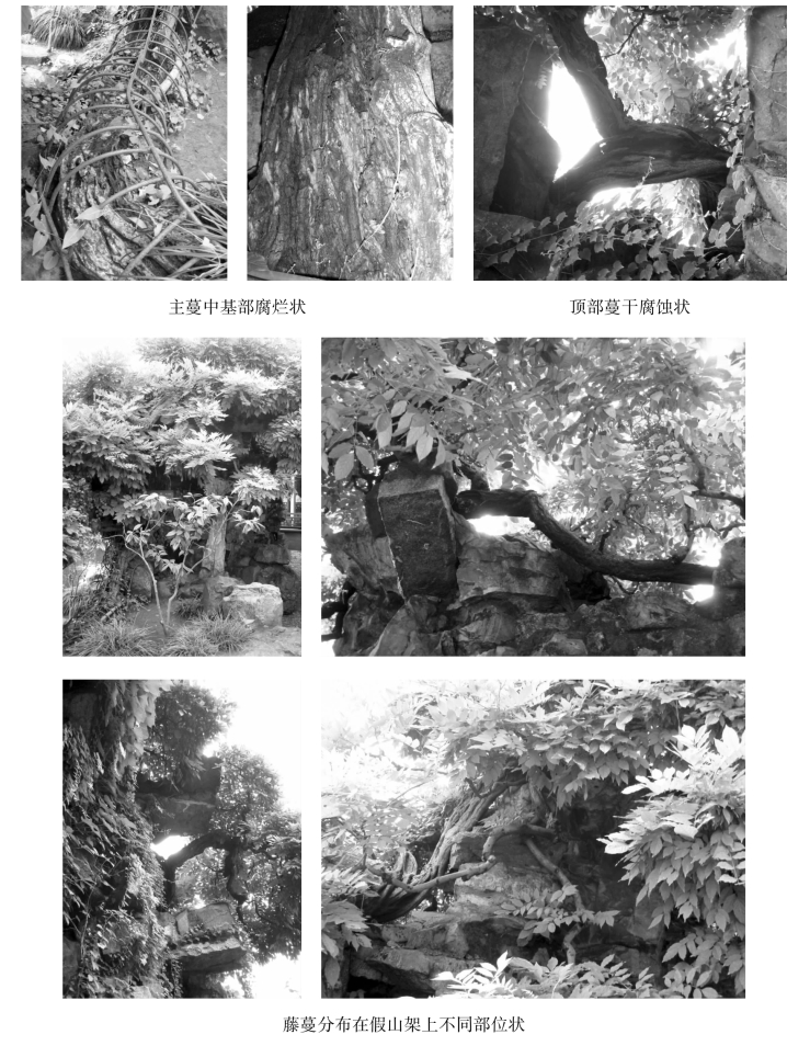 pagenumber_ebook=141,pagenumber_book=141