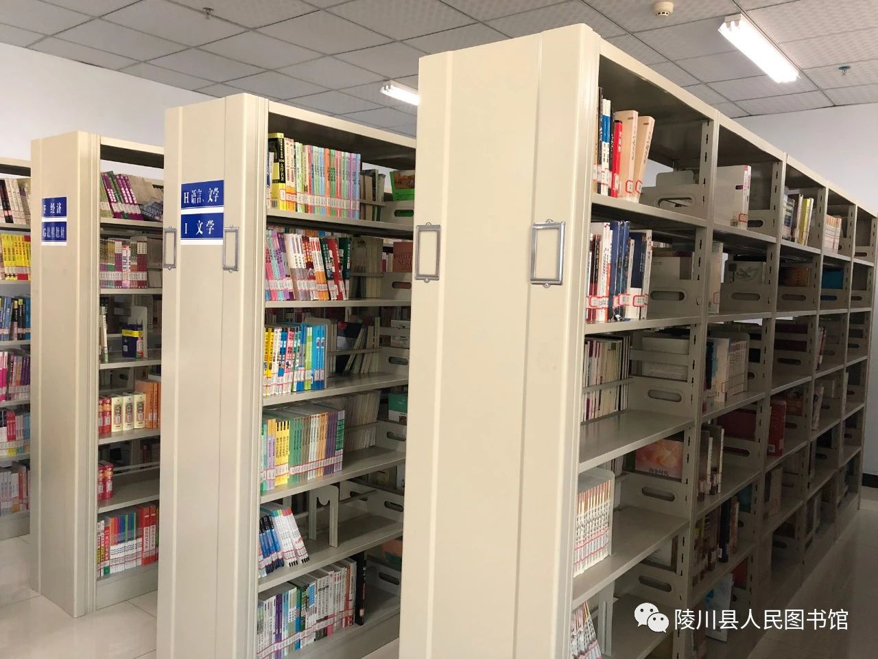 图片1 图片1.png?v=1766527933139