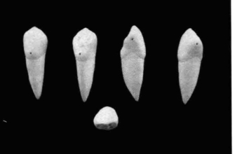 pagenumber_ebook=201,pagenumber_book=192