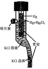 pagenumber_ebook=205,pagenumber_book=195