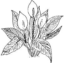 pagenumber_ebook=278,pagenumber_book=278